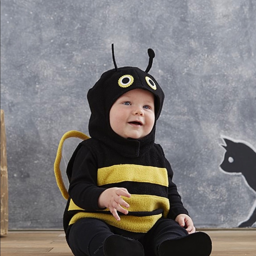 Pottery Barn Kids bee Halloween costume